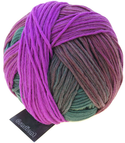 Schoppel Wolle - Gradient