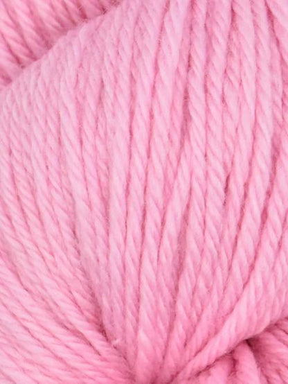 Queensland - Falkland Worsted